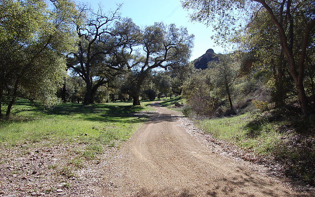 DSC 0075