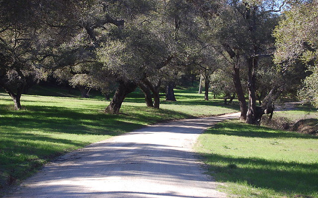 DSC 0048