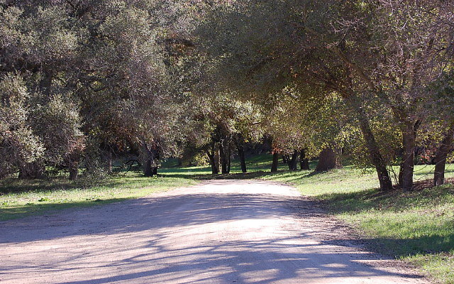 DSC 0027