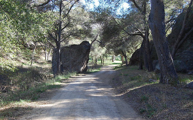 DSC 0070