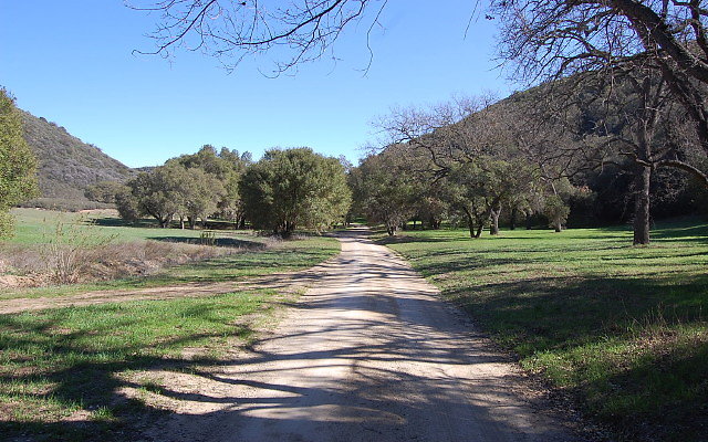 DSC 0030