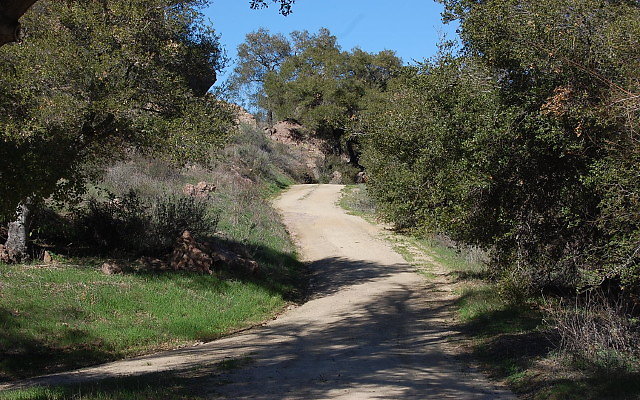 DSC 0088