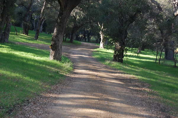 Ventura Farms.China Flats. Road