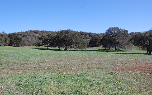DSC 0094