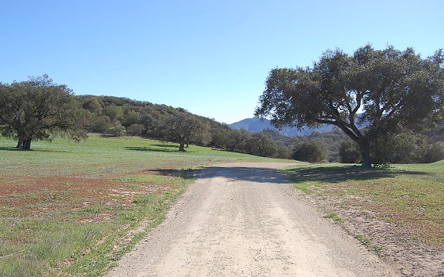 DSC 0095