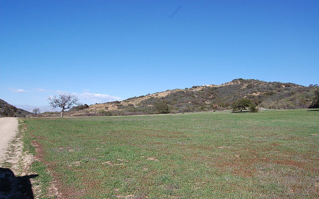 DSC 0100