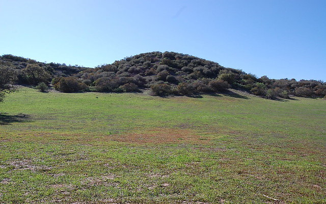 DSC 0098