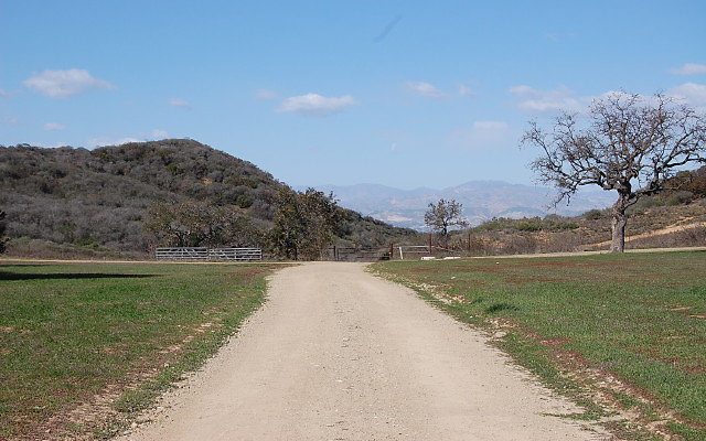 DSC 0107