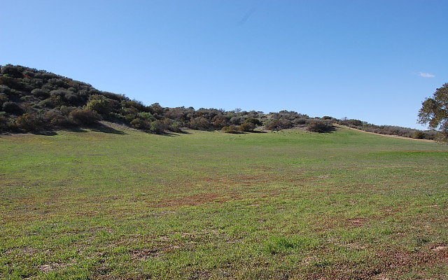 DSC 0104