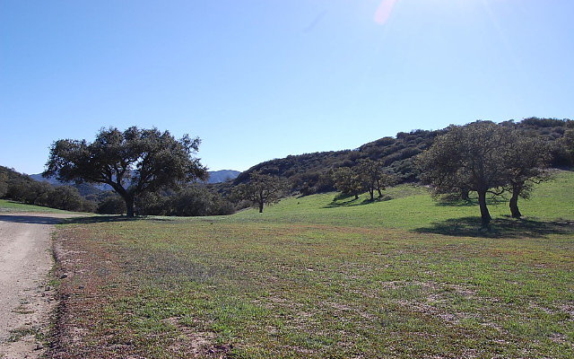 DSC 0097