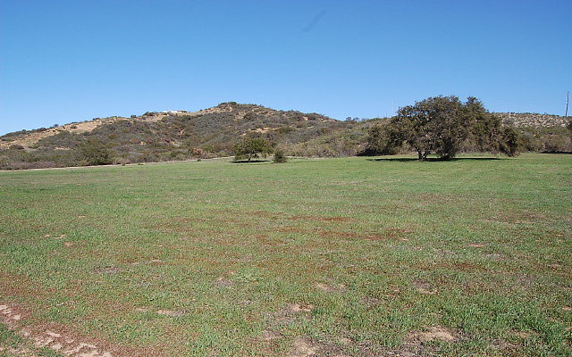 DSC 0106