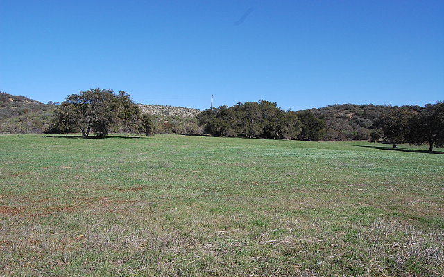 DSC 0101