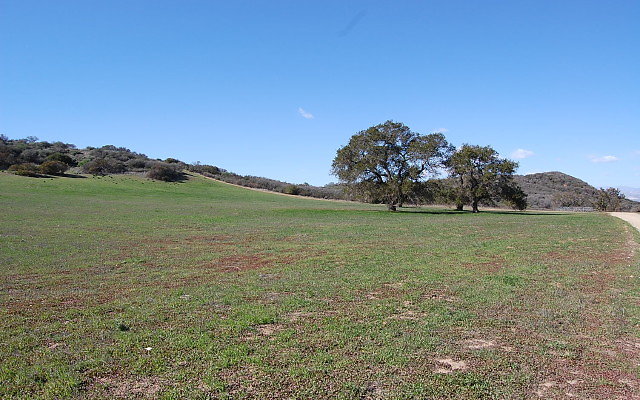 DSC 0099
