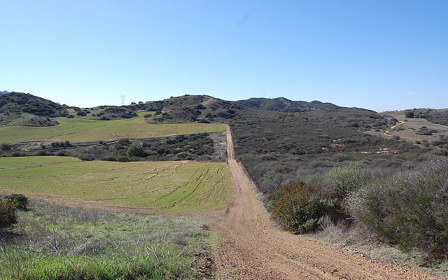 DSC 0110