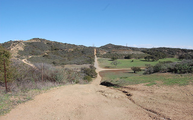 DSC 0109