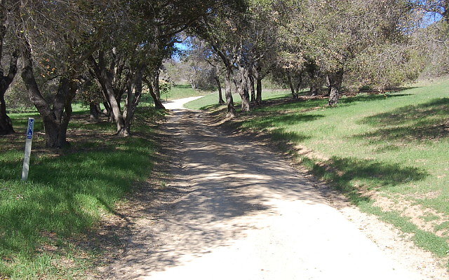 DSC 0006