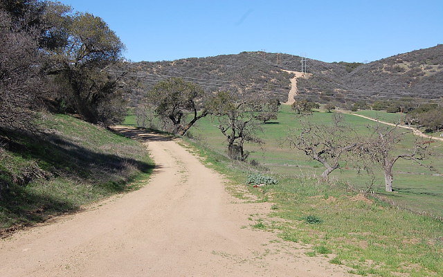 DSC 0014