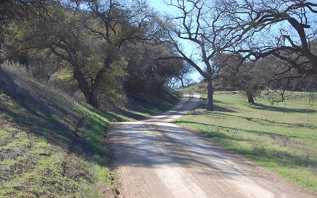 DSC 0018