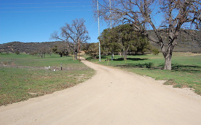 DSC 0021