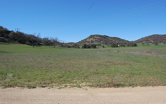 DSC 0020