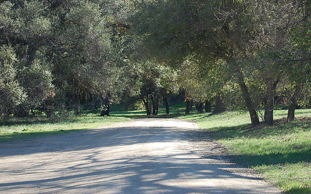 DSC 0025