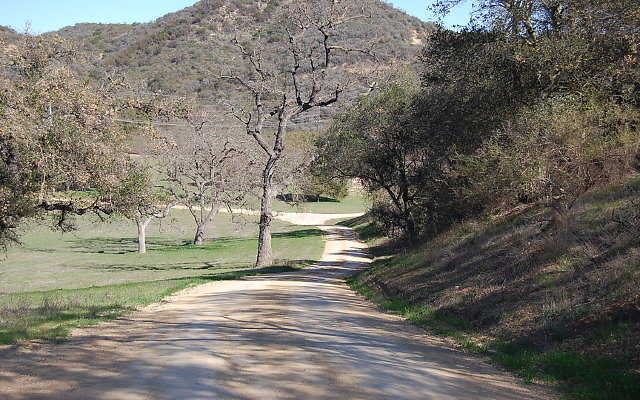 DSC 0016
