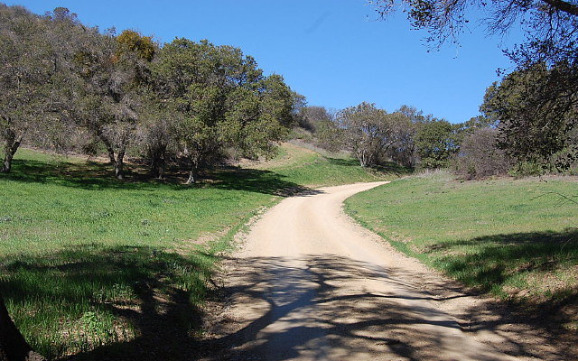 DSC 0009