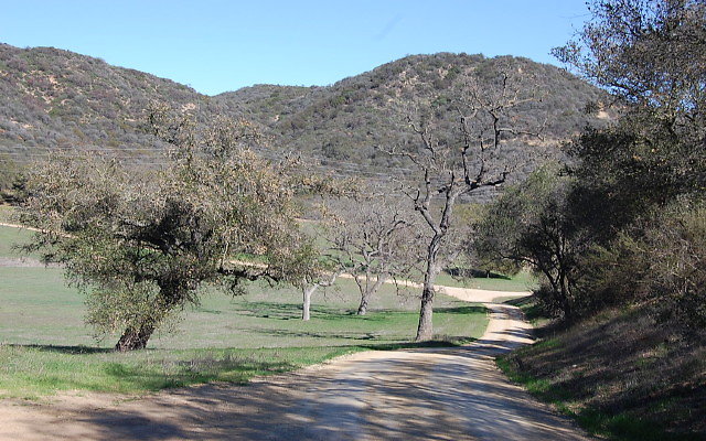 DSC 0012