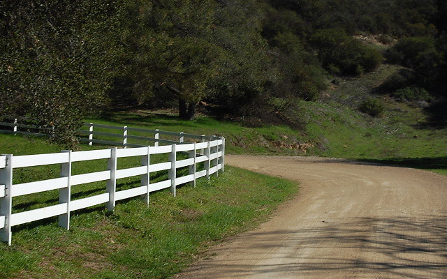 DSC 0004