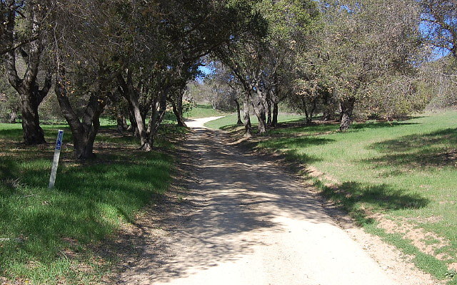 DSC 0008