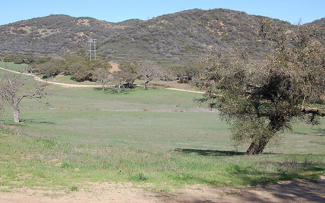 DSC 0015