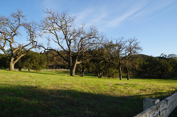 Corral Behind Thorton Ranch.09 Corral Behind Thorton Ranch.09