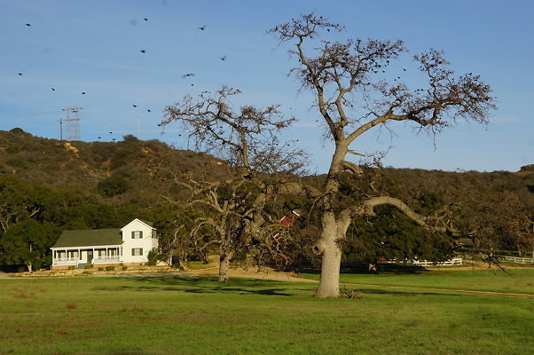 Road To Thorton Ranch.24