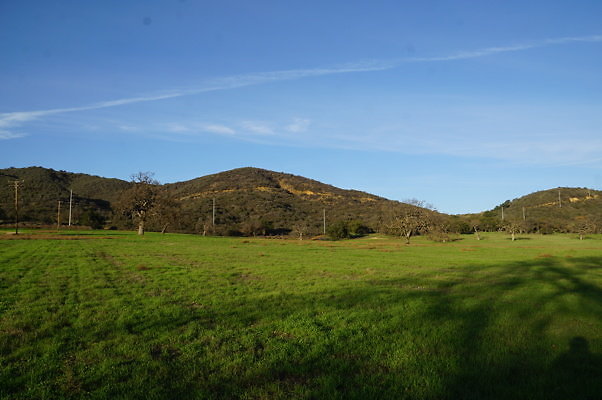 Road to Thorton Ranch