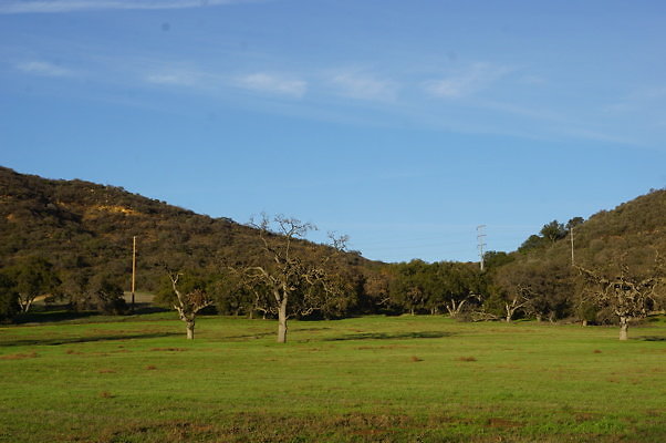 Road To Thorton Ranch.18