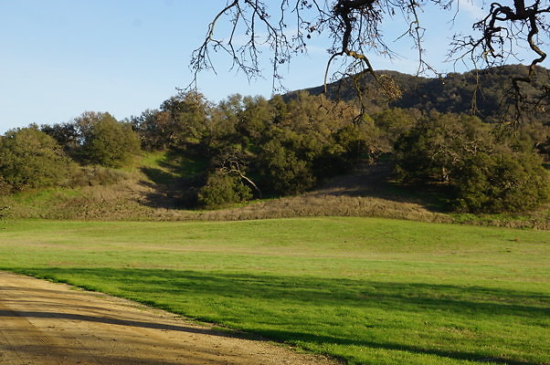 Road To Thorton Ranch.06