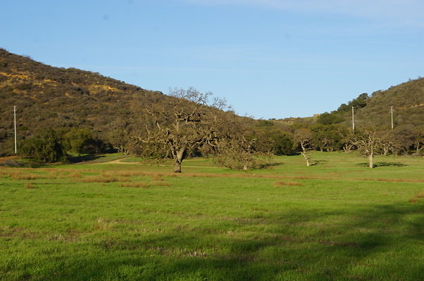 Road To Thorton Ranch.04