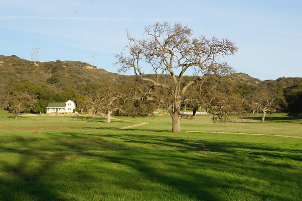 Road To Thorton Ranch.05