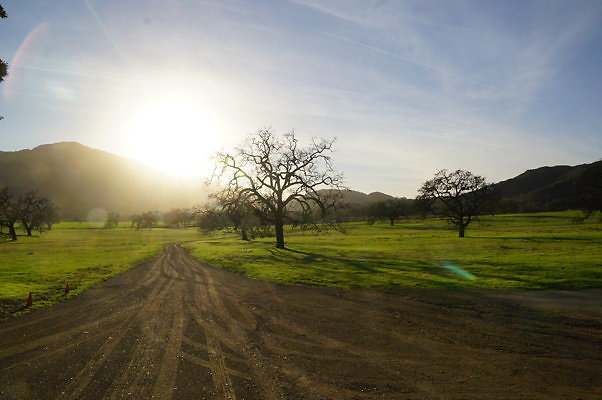 Thorton Ranch.Barn.11