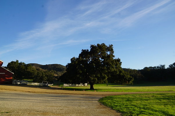 Thorton Ranch.Barn.06