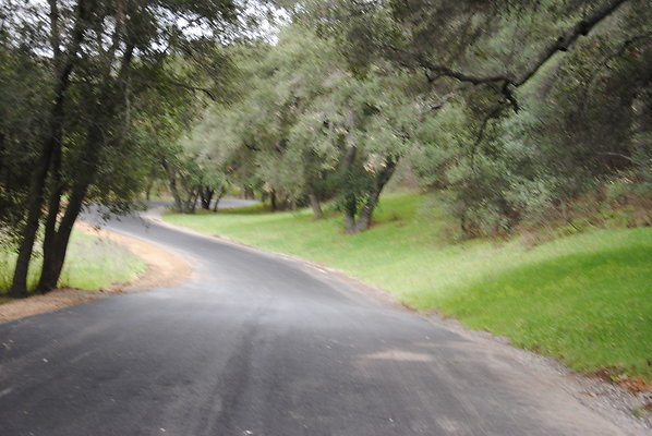 DSC 0046