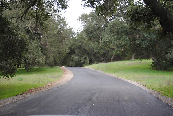DSC 0040