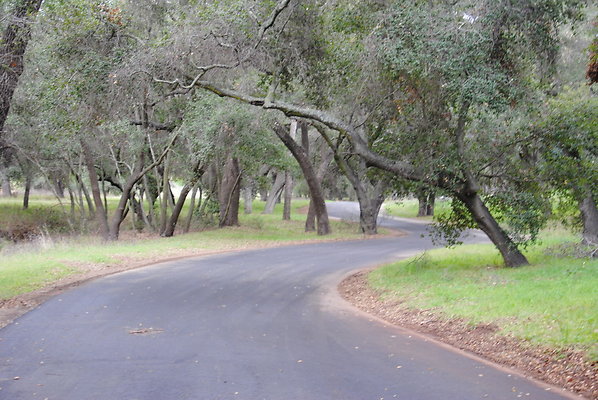 DSC 0055