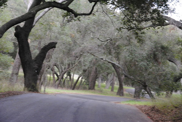 DSC 0054