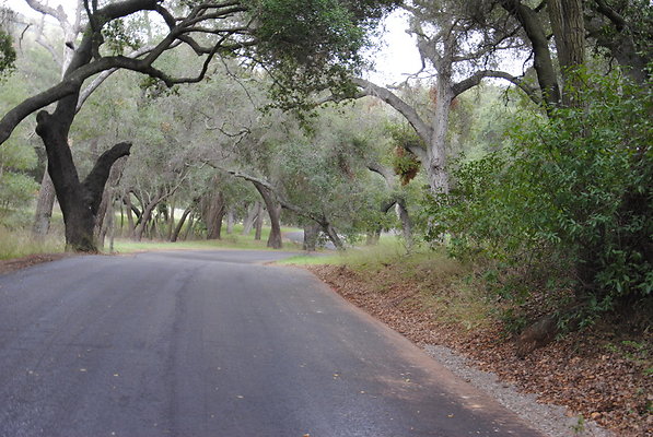 DSC 0052
