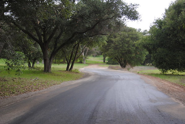DSC 0080