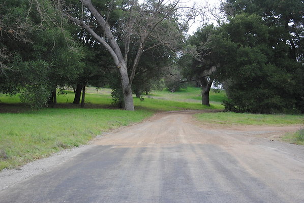 DSC 0081
