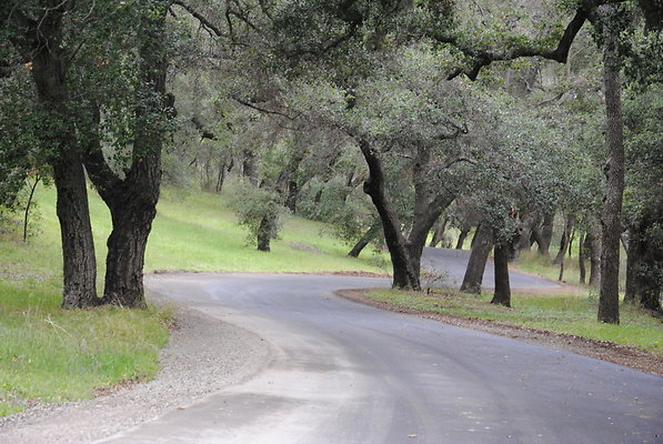 DSC 0062