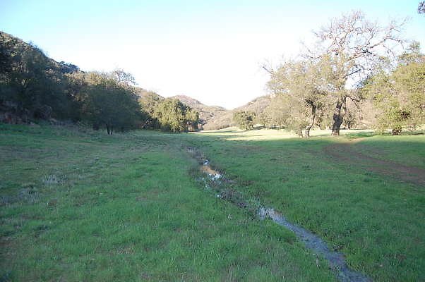 DSC 0069