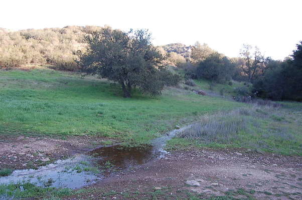 DSC 0092